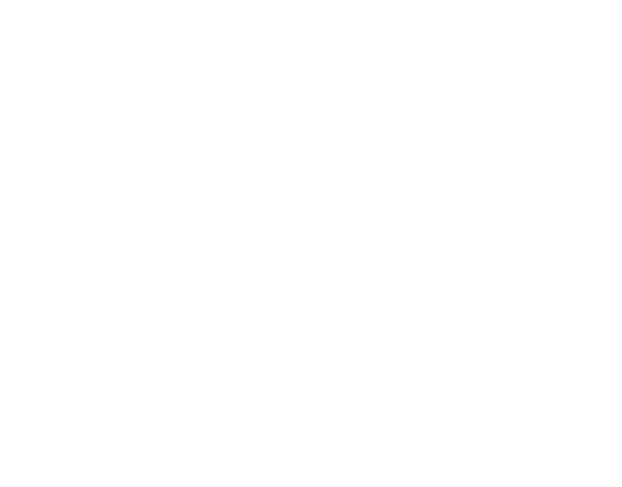 Youth Nest